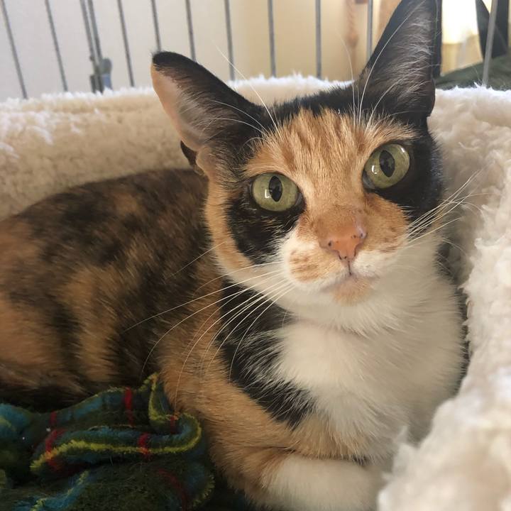 43672d95 a23e 4d92 9602 711056389420 1555974174935