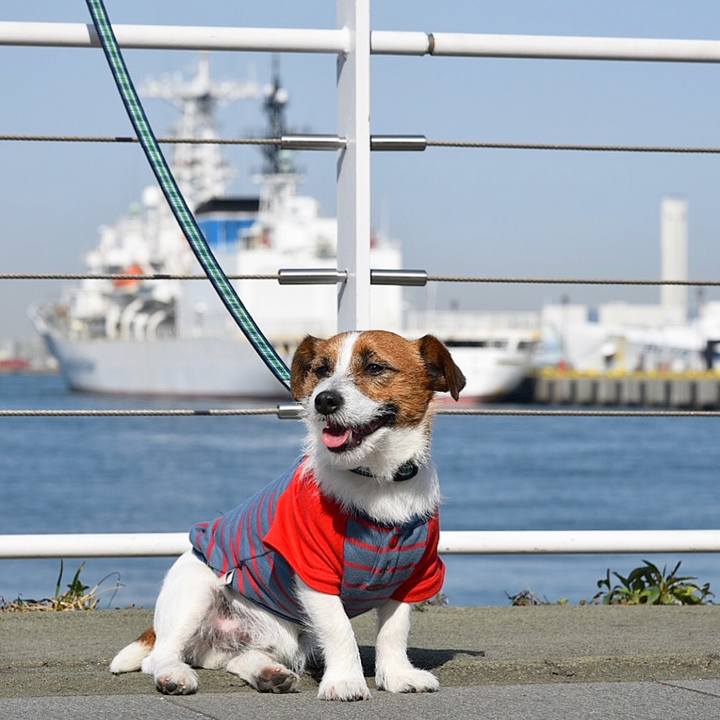 436751e5 6be0 4299 9be2 6ca3e52ded7c 1521029144553