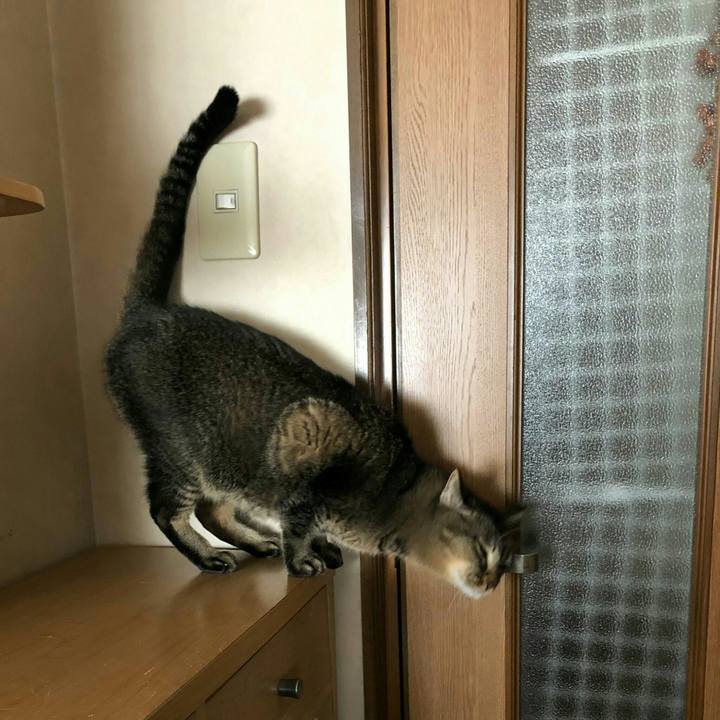 43676cb9 0ebb 41f4 96c1 a2dbc14cbd24 1608772449049