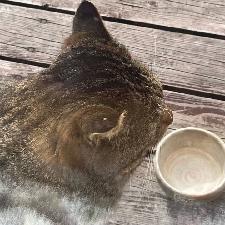 436774e1 5e19 4dfe a8a1 1075798a0f66 1745794276108