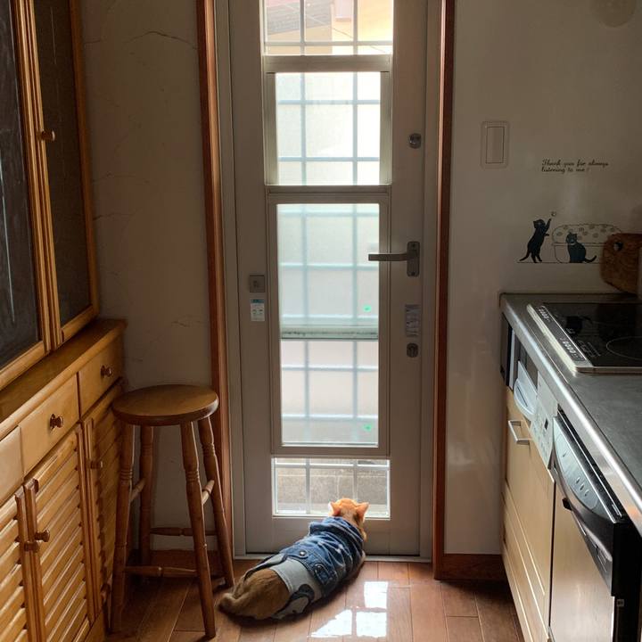 4367c258 df58 4d15 9b7e f2a49ae0689a 1657196041569