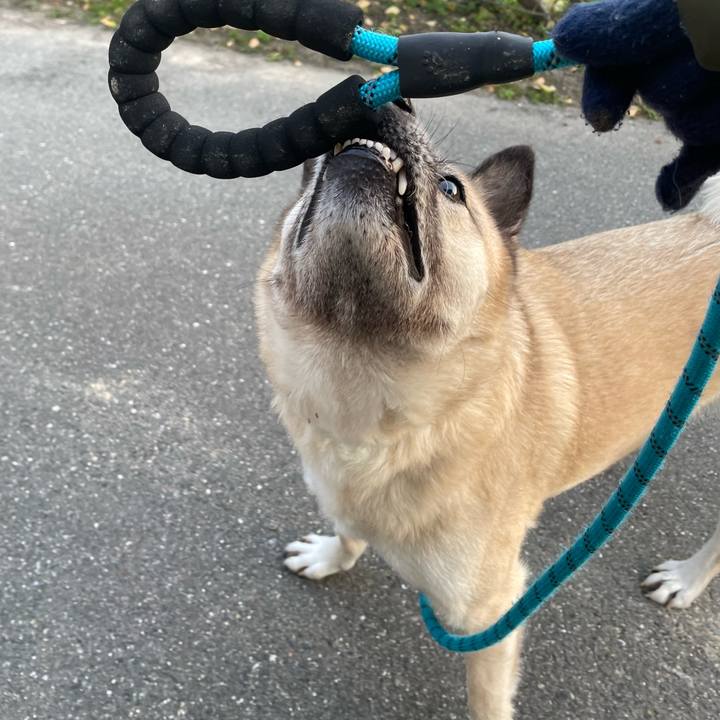 43680a0f 5b1a 4941 bfb1 dd4b26cc569e 1678361886490