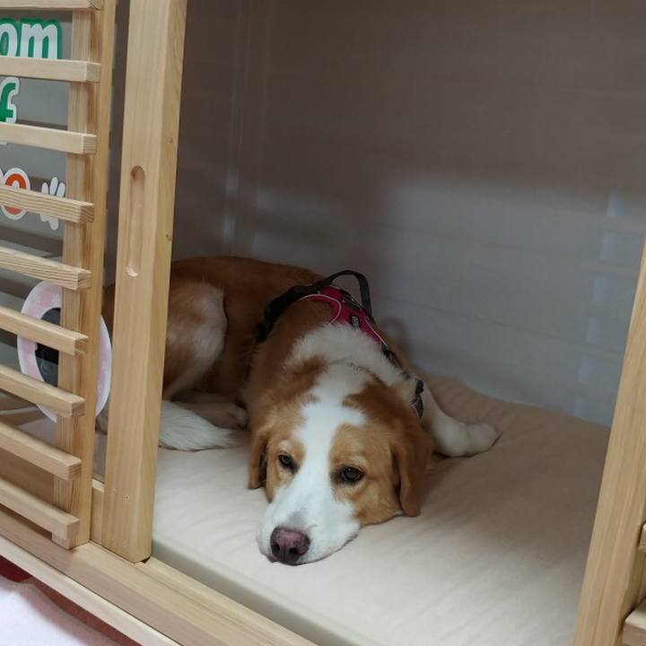 4368250c a638 45a1 b2c3 e77ce3a0e813 1532879205298