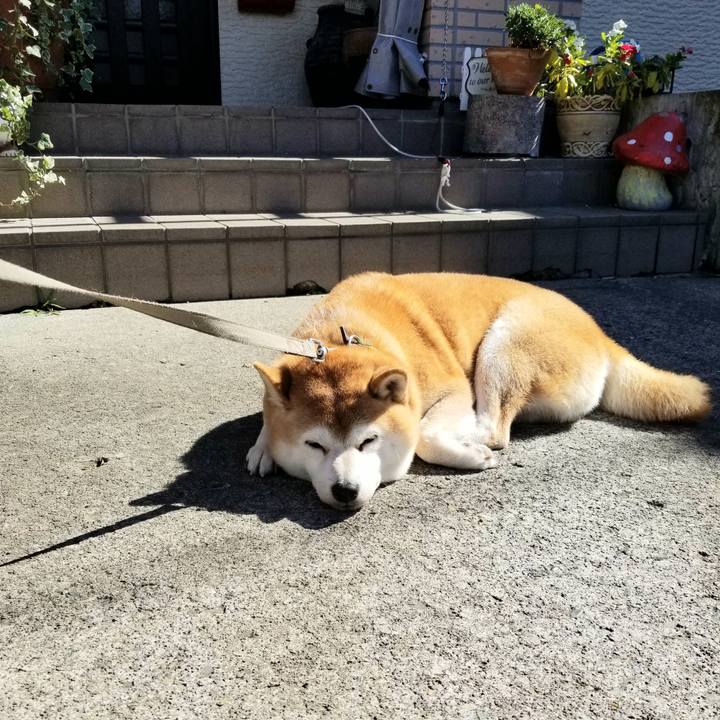 43686bda 2140 46d1 86e7 89f62fe83b4b 1634525059504