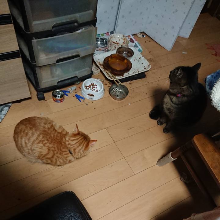 4368bafe e231 4d3c a57f e59e89efa180 1643836515027