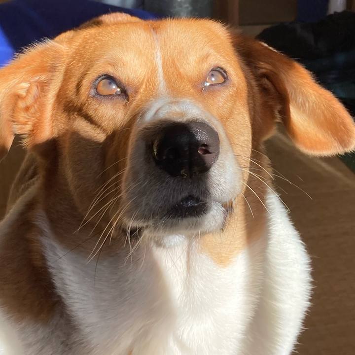 4368c158 8707 49a9 ae52 027d72f22d7c 1671069284142