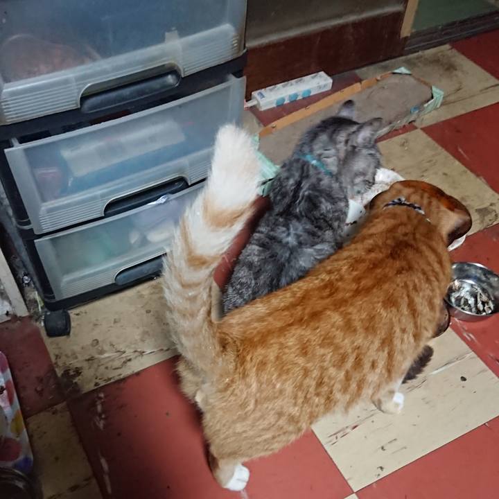 4368c2ab 794c 4ae8 bd17 4bcc1402d835 1570308744071