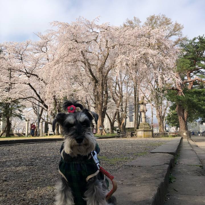 4368cdc0 9554 4785 a2a4 e5a4b808a390 1680940151357