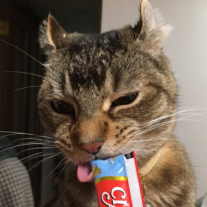 4368cf22 5d2a 4d50 bbec e49df0eee96f 1525057606536