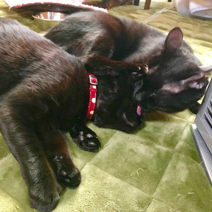 4368d502 c2fc 454f 82dc 45d4bbb99652 1513924888817