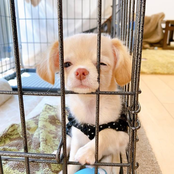 4368e14a 1f00 4cf8 946c b6e3b87c488e 1590547799808