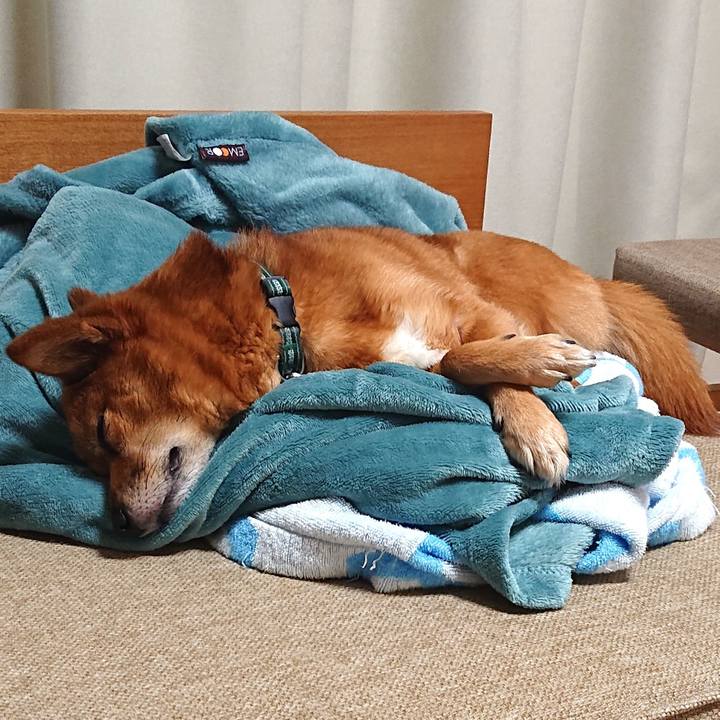 4368fb2d 373f 40de a1a3 65f0347cebfa 1575765797687