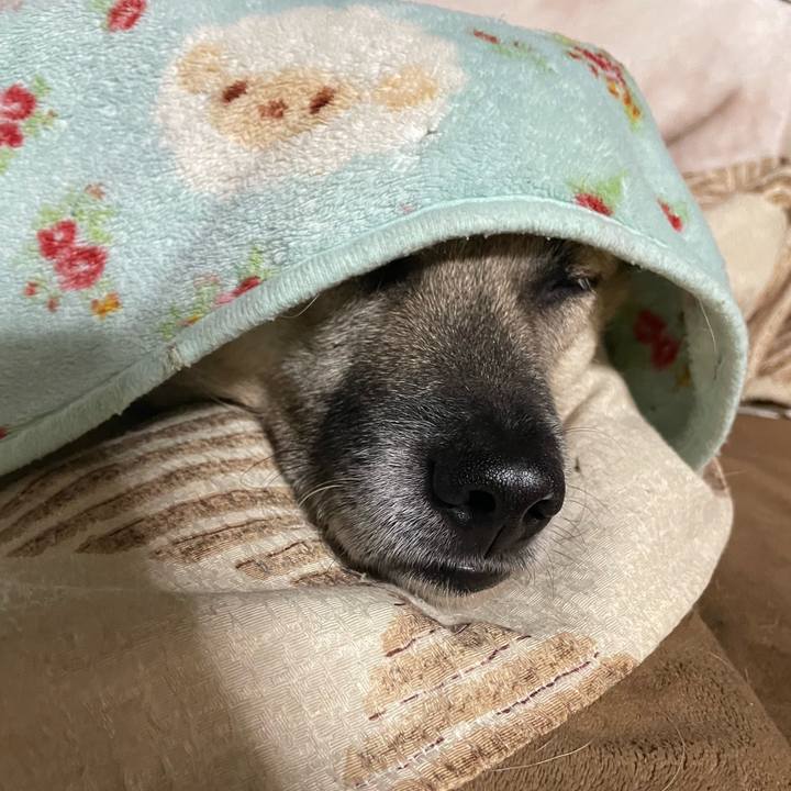 4369a98e 3942 42d5 ad4b 5c8bc3bbde76 1700824852872