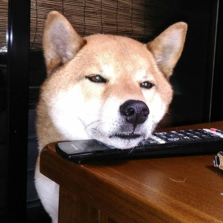 4369e312 758a 439b 82be 2741f014debd 1526642714040