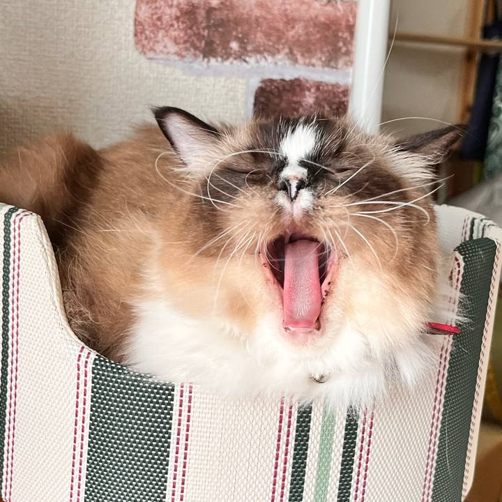 436a2da8 32e2 492f ae6d ba26b76b949e 1665293684472