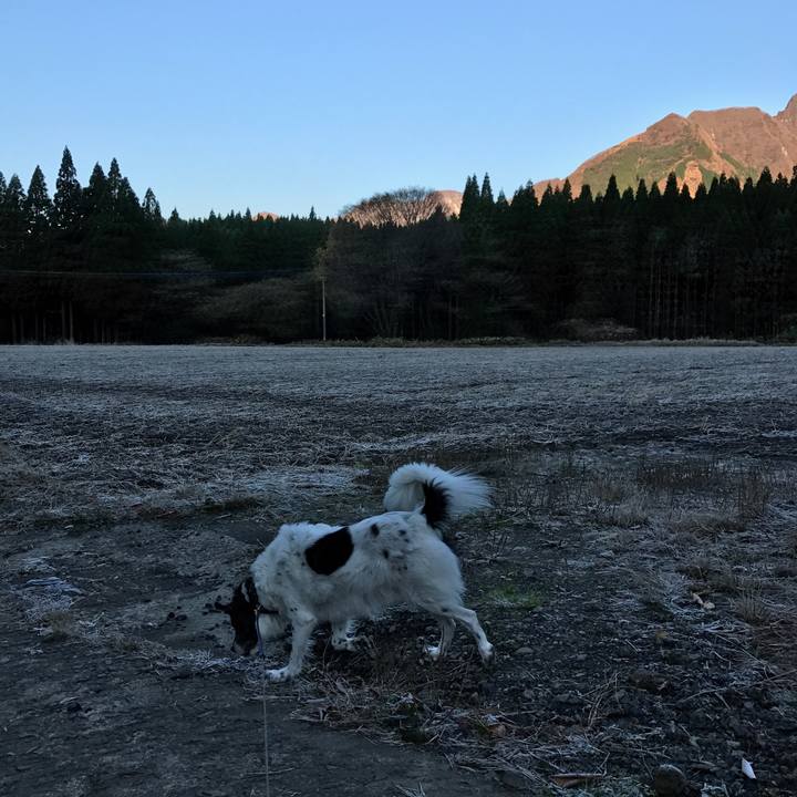 436a31af 6eac 42bc bb61 8cd6abbee71c 1511226263694