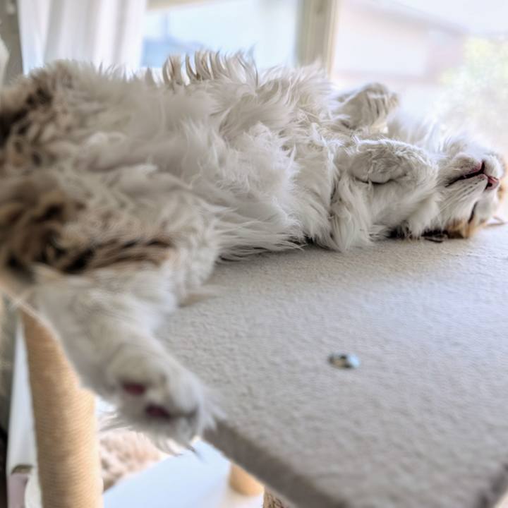 436a559a 5d41 4e11 b003 7ced7727966e 1727060737808