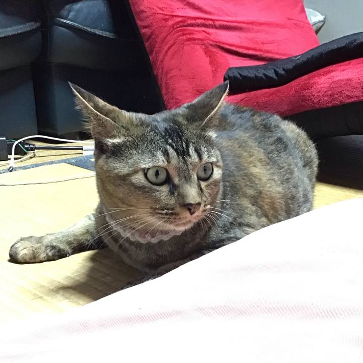 436a73a9 1b74 4914 8972 065f10a513b5 1689849670252