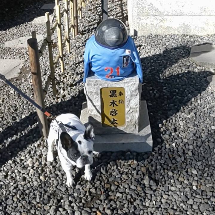 436a8a81 869b 4f46 ba34 c70fc200e105 1669538206543