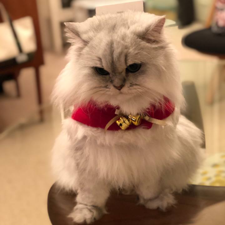 436ab924 8613 4277 b9e5 da54db031446 1544953449636