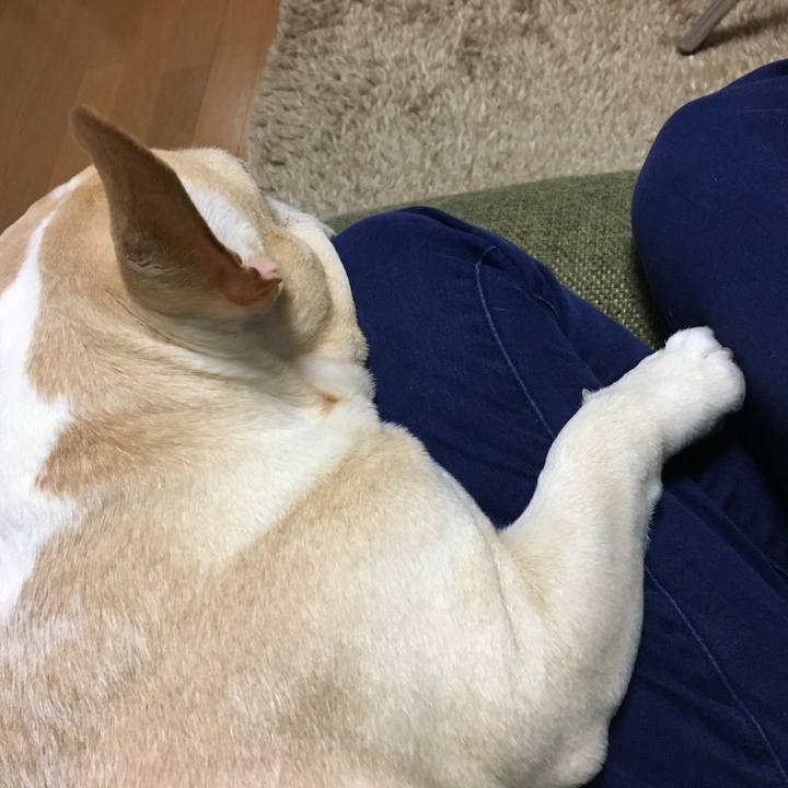 436b4c7e a3ef 4f22 a7fd 8906e2d0abc5 1513511198066