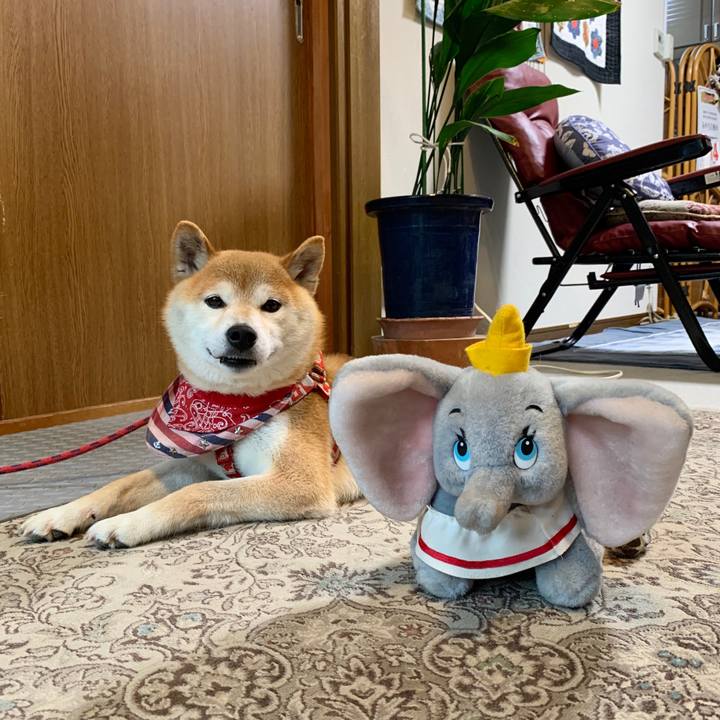 436b6495 db05 4e65 a2d3 ee7a1ff507b0 1592123887609