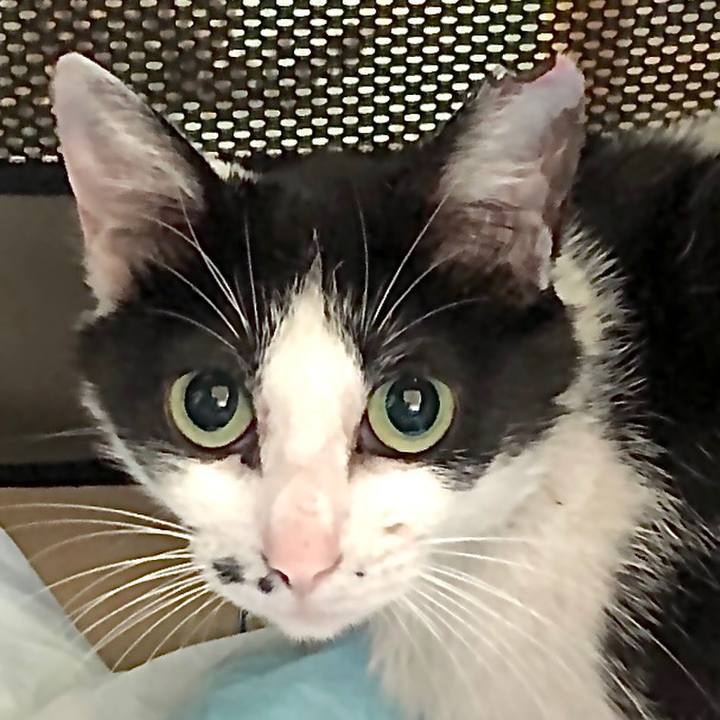 436bcf9c d572 415c a240 bbaa039cd446 1624576124318