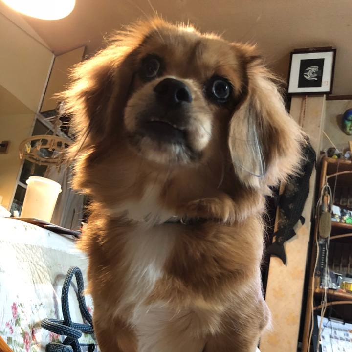 436be704 920b 4045 9ca4 2dc451da7ee9 1507846566333