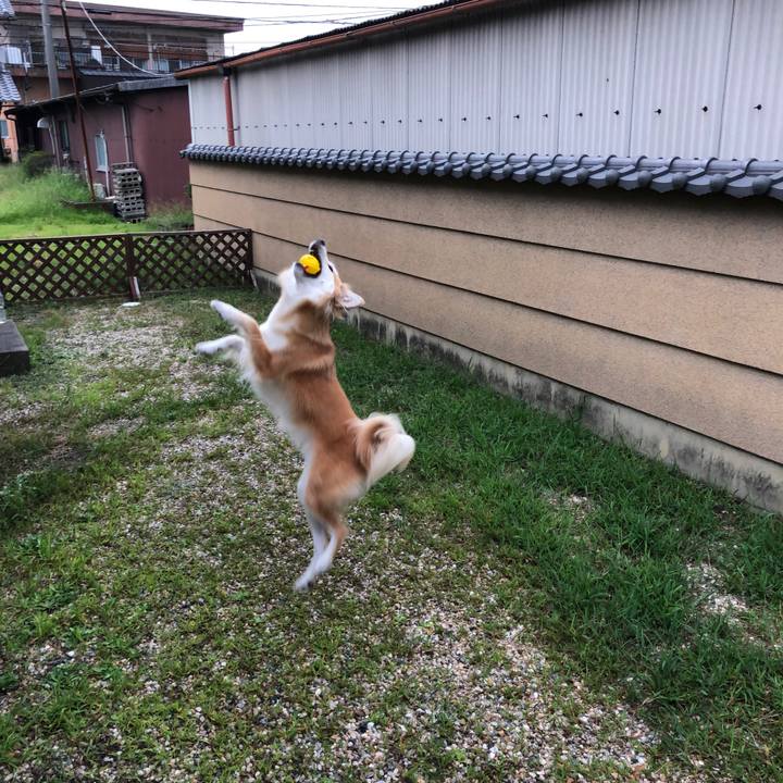 436bfb23 fac8 406c 8b94 16f39de6dd64 1567069003844