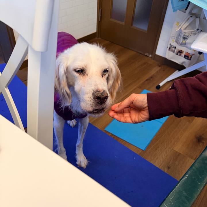 436c0caa e46c 4ede 9583 3520411bb908 1761698536913