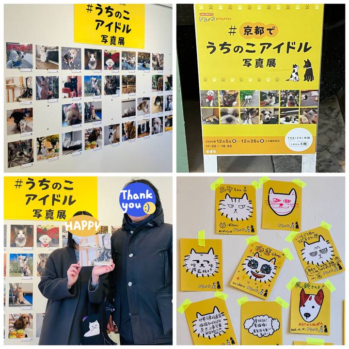 436c30ac 1383 48c2 beba b7aaa5eec25a 1765677078659