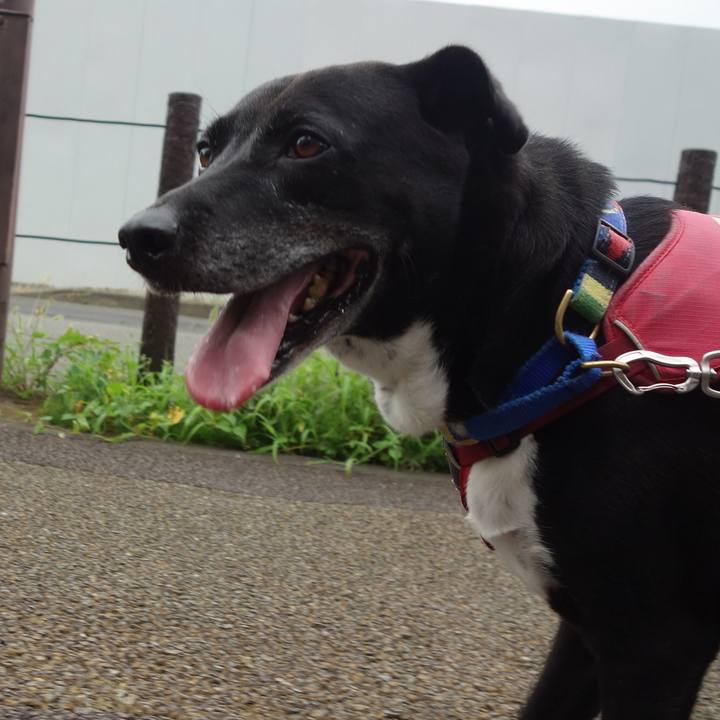 436c3ec7 d3e3 45f5 98e1 0396e75e4575 1689298460925