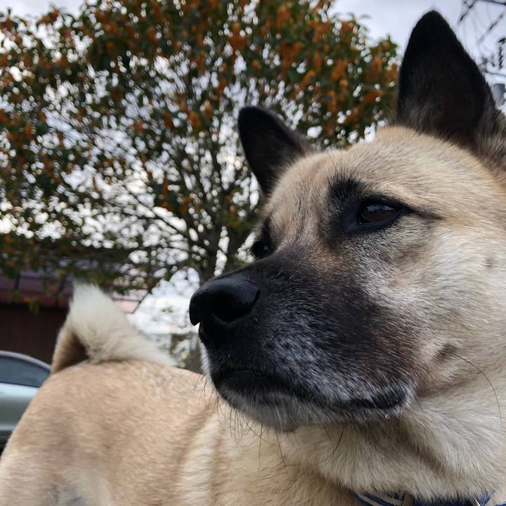 436ca2fe b407 435b 98c3 1ebf5699e567 1602852086804