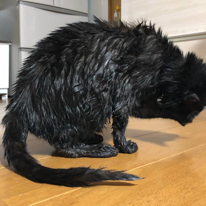 436ca926 c0cf 4345 b888 c1057a19473c 1621031698900