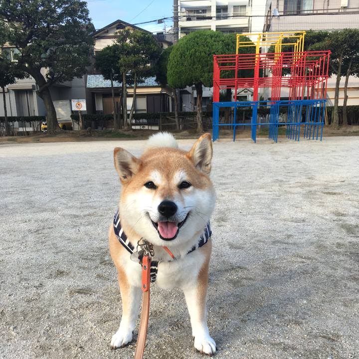 436cc10d b0f1 40fd 8f9b 2dceb29672ee 1562579001202