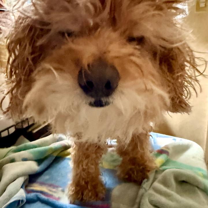 436cd078 b04a 4cff 8f25 48b5687794d2 1763293086374