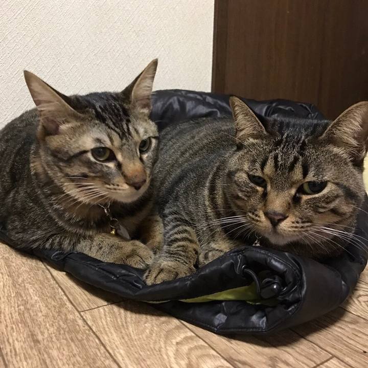 436ceebc 56ac 476f 8317 2b1ca149c118 1551452301665