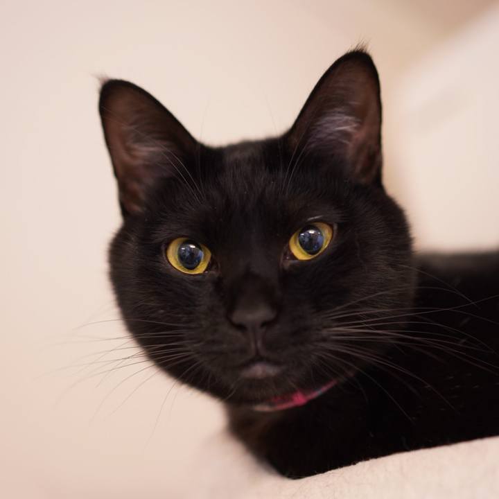 436d0055 752e 4dec bf47 42257e439e86 1577972473631