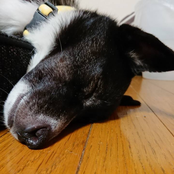 436d1939 6bac 481b 9aaa f189d8985634 1525272579405