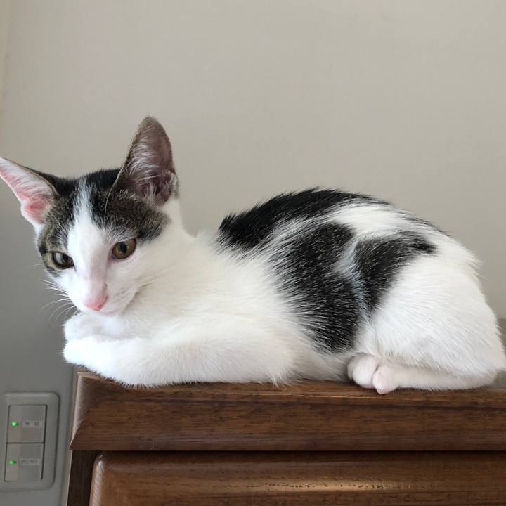 436d3e3f 6aea 4ae8 8534 10685a5166f3 1566084952119