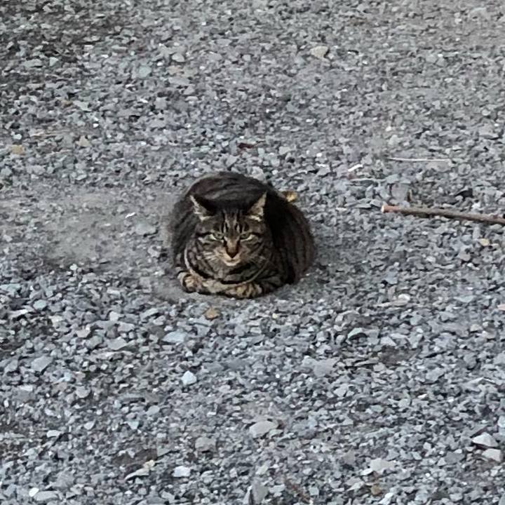 436d5b0d 7b94 417f 8029 f8b88c9d86a1 1621772895175