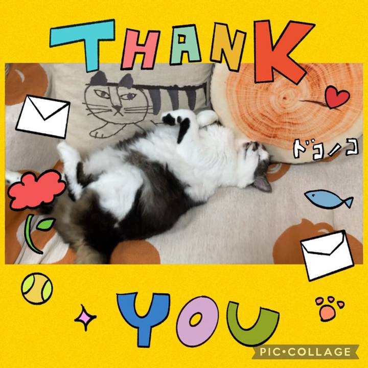 436d80a1 9554 47b6 b836 589349a703c2 1715555264691