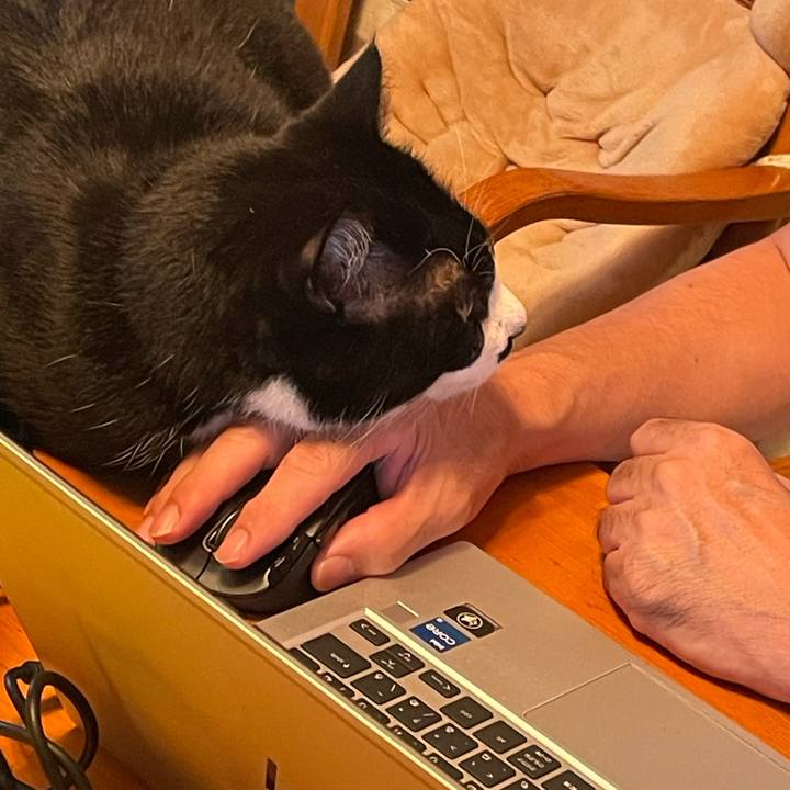 436d80ec 0630 43fc 9620 39e48eb98e8a 1757902230741