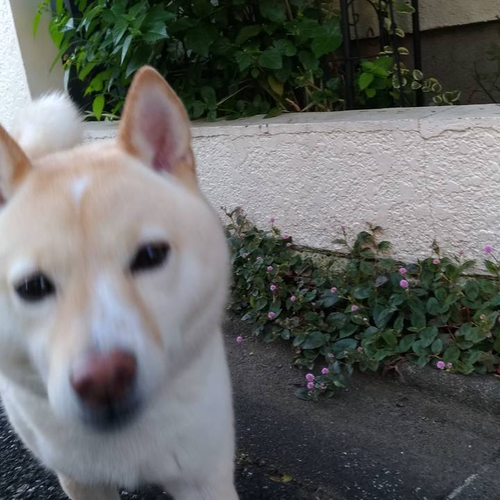 436d83c8 64c8 421c af50 b5081c9c9777 1603624794867