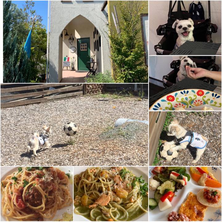 436d8de1 b450 419b 9b20 419ddf800084 1568537517195