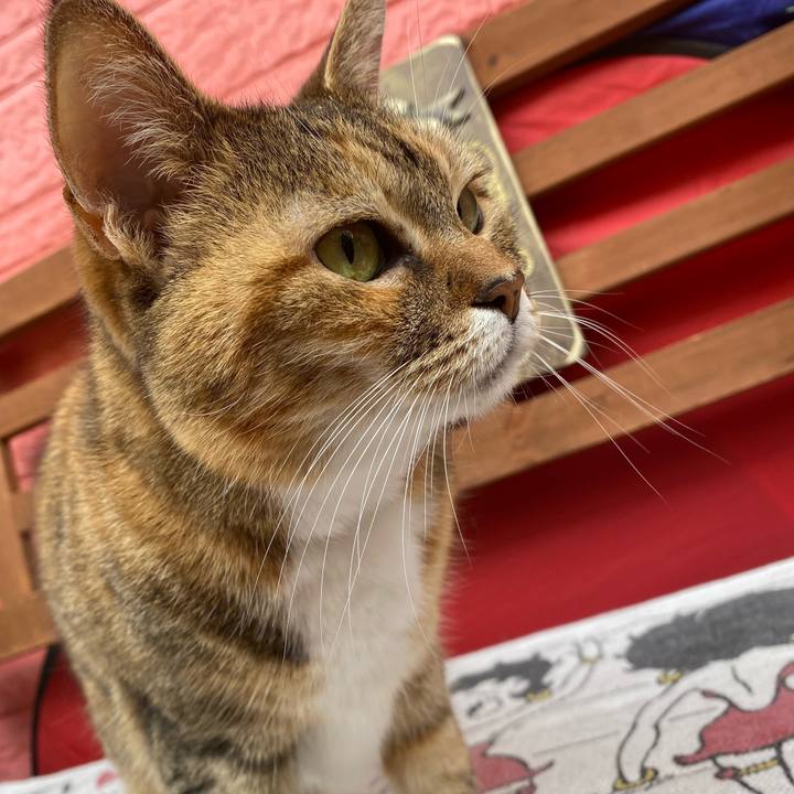 436da02d dbfc 4c81 8ba0 d122c8cfa280 1649821749549