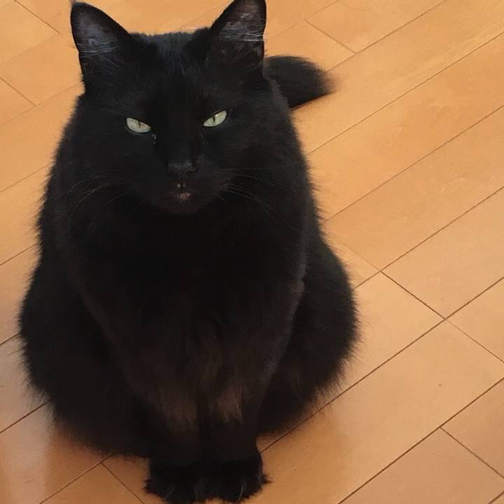 436da2ce 38b7 48bc ba84 f19b5eb256ea 1522986959806