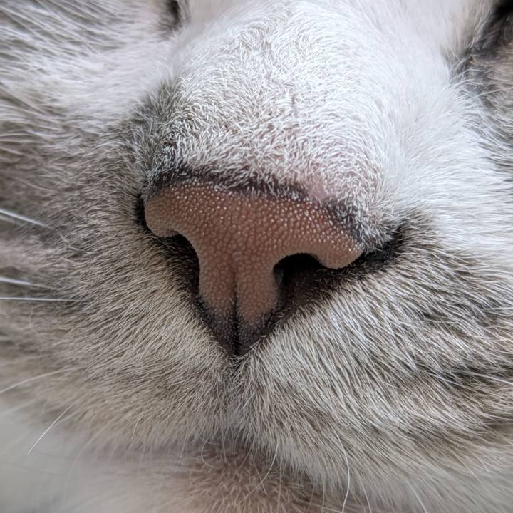 436db862 b132 4521 9175 f09ad751aa12 1752284649132