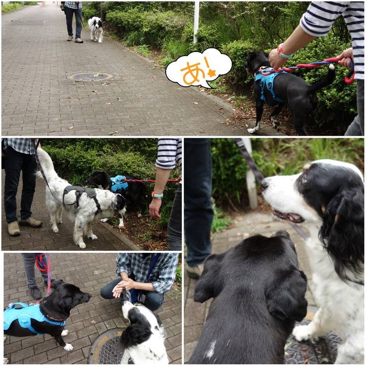 436dbdd5 70a7 4103 a857 6a2b029c5ec9 1622854520623