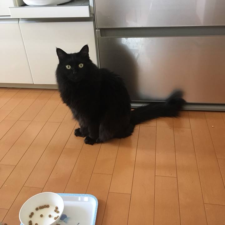 436e48e7 93db 4507 9549 47c5f6475a22 1555639400547